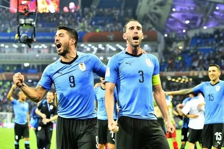 世界杯乌拉圭vs韩国
