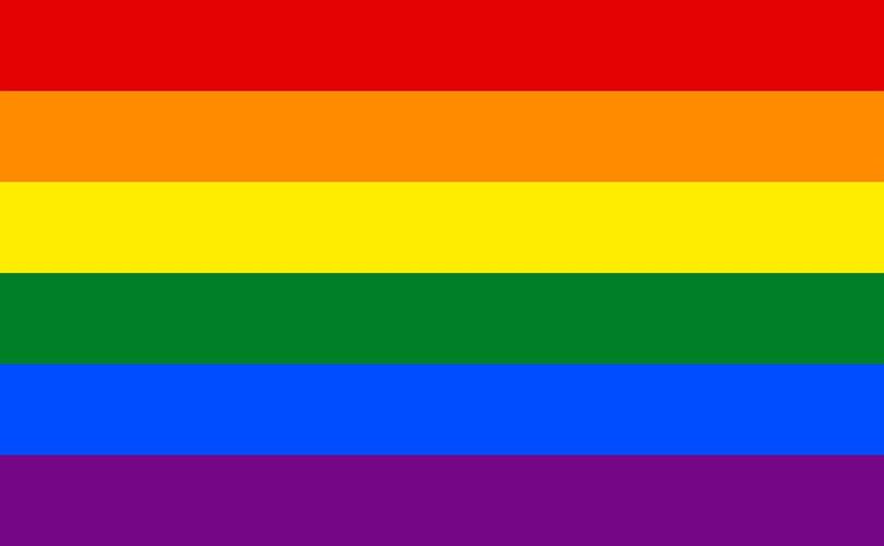 彩虹标志代表哪个群体