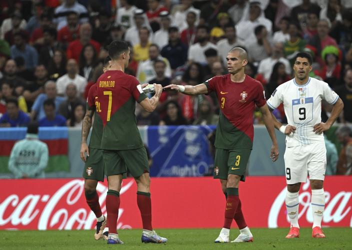 比利时vs葡萄牙佩佩