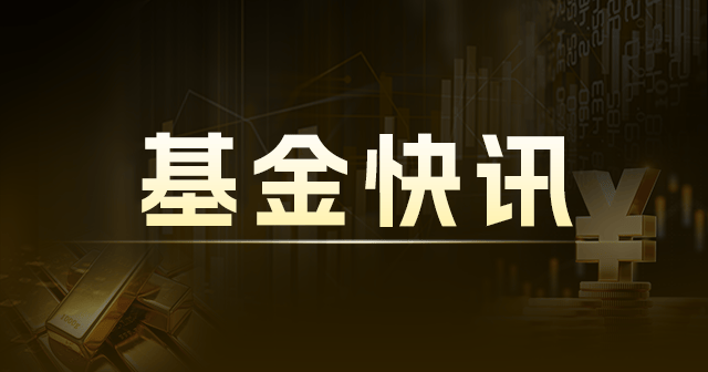 数码视讯：回应切入机器人赛道问题，多领域投资推进