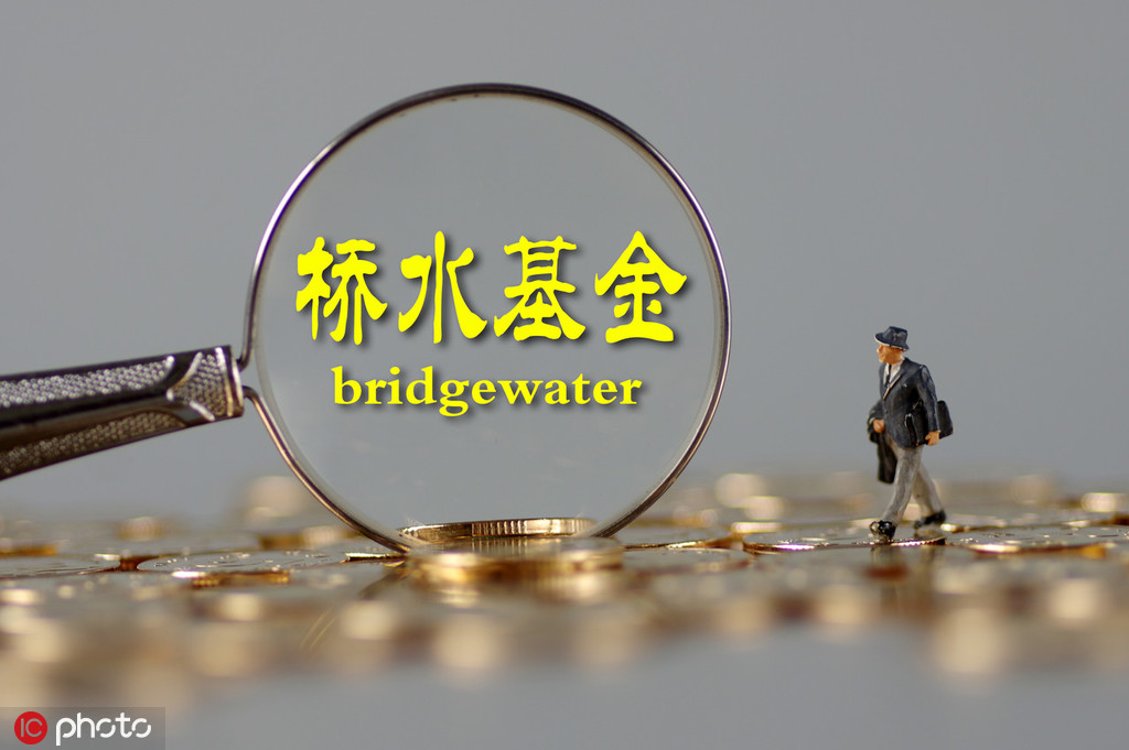 基金的投资策略如何应对市场的不稳定性？