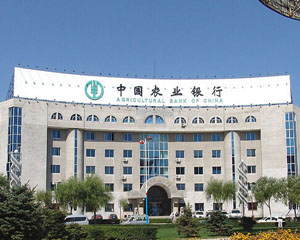 银行在财富管理中的个性化服务如何付诸实践？