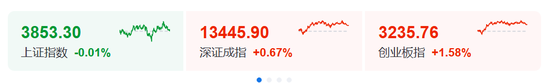 突发，黑天鹅！