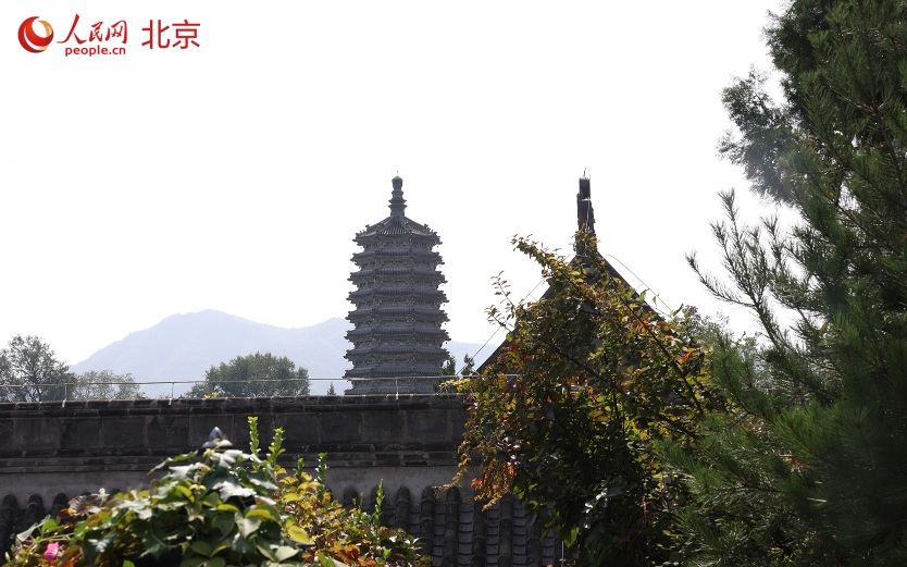 云居寺一万四千余块石经见证中华典籍千年传承